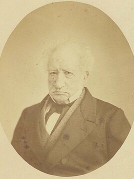 Giovanni Antonio Amedeo Baron (1848) Plana