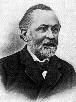 Heinrich Wild