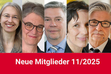 Fotos von den neuen Mitgliedern. Von links nach rechts  Marietta Auer (Frankfurt am Main/Gießen), Claudia Diehl (Konstanz), Gerhard Kahmen (Frankfurt (Oder)/Cottbus-Senftenberg), Dorothea Kübler (Berlin) und Jan-Werner Müller (Princeton University).