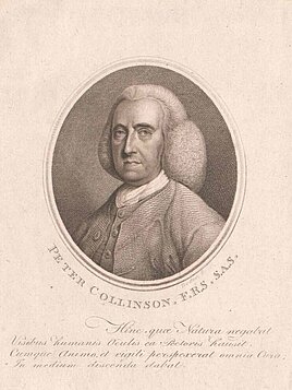 Peter Collinson