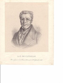 Augustin-Pyramus de Candolle