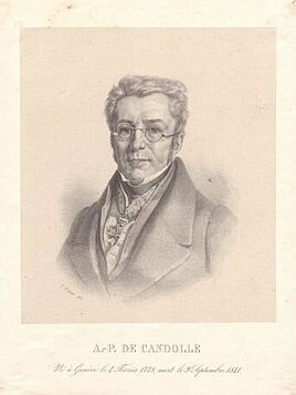 Augustin-Pyramus de Candolle
