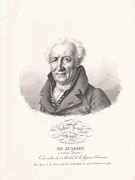 Antoine-Laurent de Jussieu
