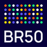 Logo Berlin Research 50