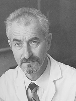 Werner Ebeling