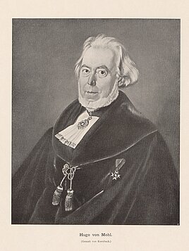 Hugo von Mohl