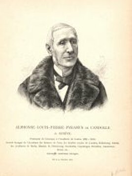 Alphonse-Louis-Pierre-Pyramus de Candolle