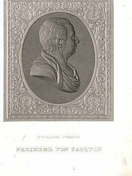 Nikolaus Joseph Freiherr von (1806) Jacquin