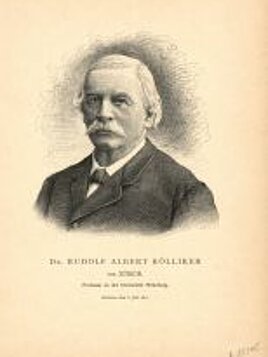 Albert von Kölliker