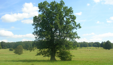 Übersicht