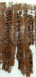 Präsentation der neuen Ausgabe des Thesaurus Linguae Aegyptiae mit Festvortrag "Towards a More Material Philology: Middle Kingdom Papyri in London and Berlin" von Richard B. Parkinson 