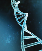 Genomchirurgie: Keimbahntherapie beim Menschen?