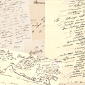 Ansichten aus dem Blätterwald – Alexander von Humboldts Manuskripte, Notizen und Korrespondenzen zur Biogeographie