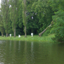 Water in Historic Gardens as an Aesthetic Category and Natural Resource – Spanning a Bridge from West to East  